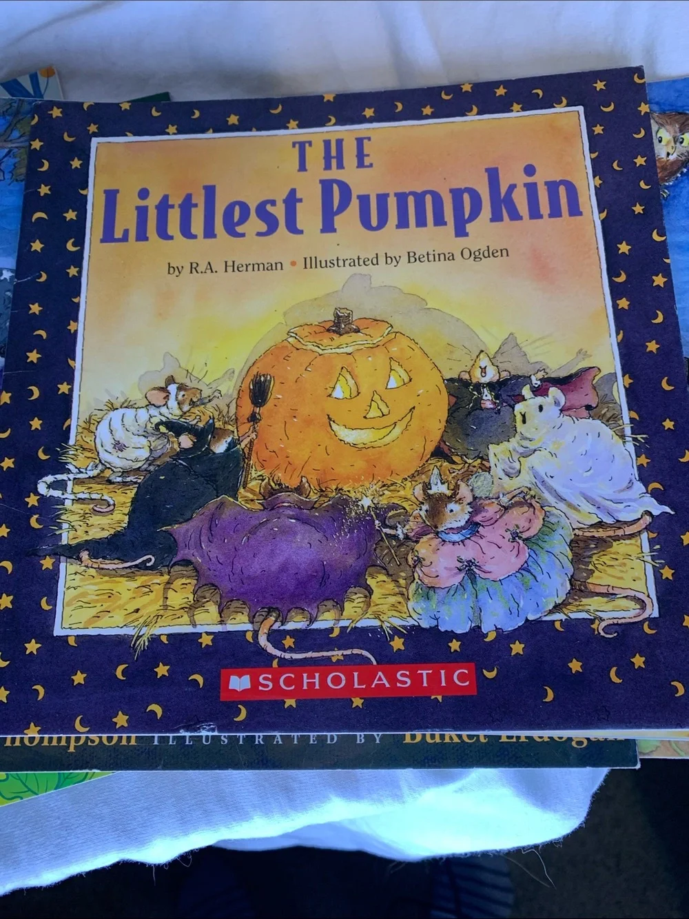 Scholastic Childrens book Bundle
